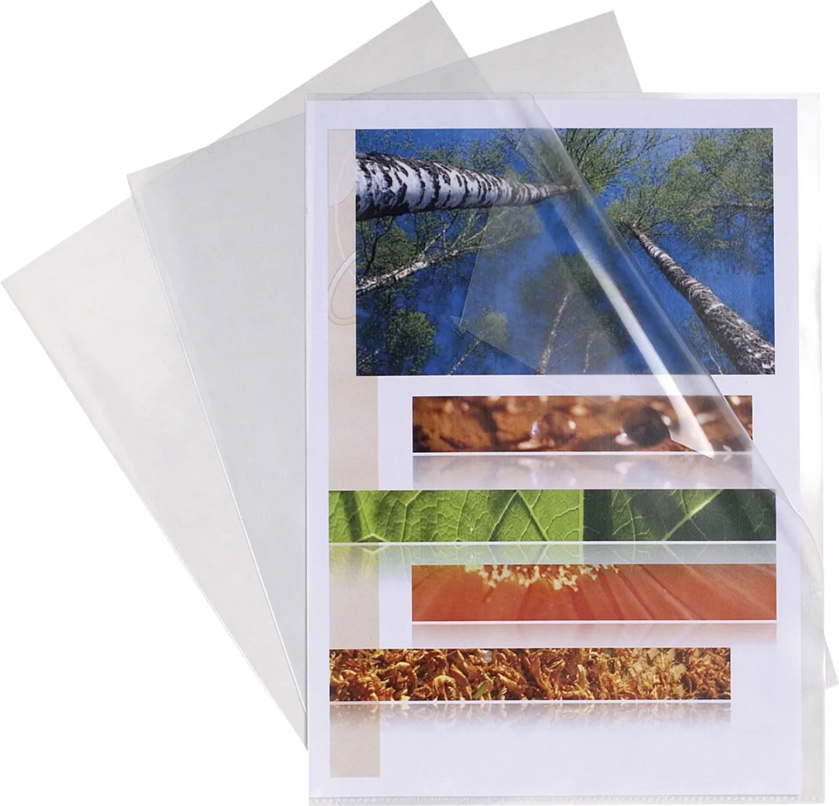 Exacompta 10x Pak 100 L-mappen - gestructureerde PP 12/100e - A5 - 58600E by Exacompta in Transparent – product photo