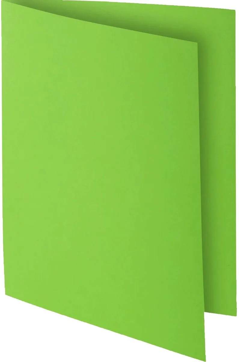 Exacompta 10x ROCK''S 80 Pak van 30 inlegmappen - 22x31cm voor A12 - 807013E van Exacompta in Groen – productfoto