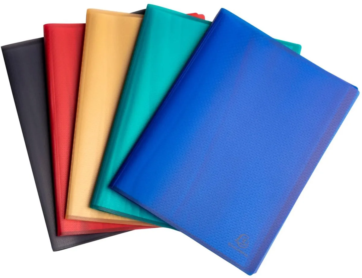 Exacompta 10x Showmappen in halfharde gerecyclede PP met 100 tassen Opak - 78600E by Exacompta in Geassorteerd – product photo