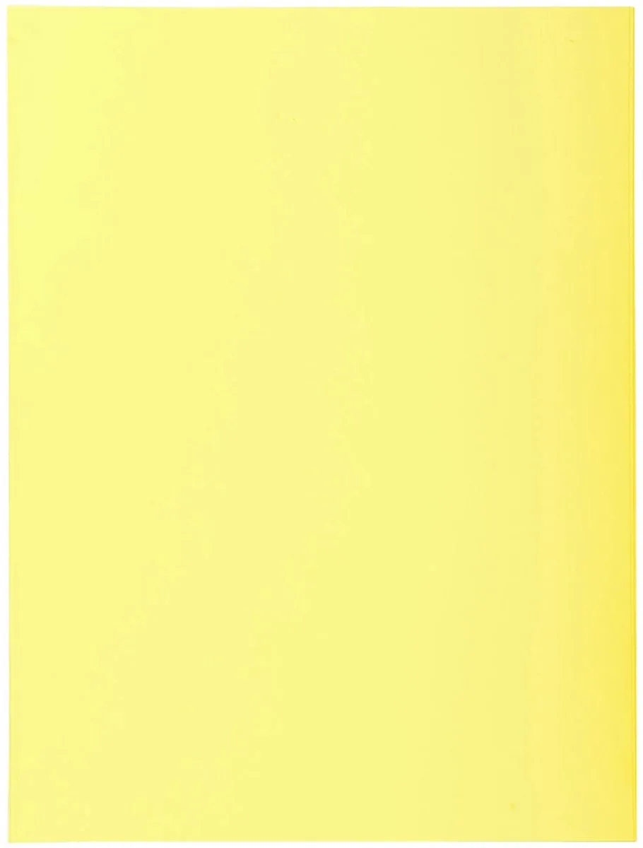 Exacompta 10x SUPER 210 -Pak van 5 dossiermappen met 2 kleppen - 24x32cm - 332100E by Exacompta in Geassorteerd – product photo