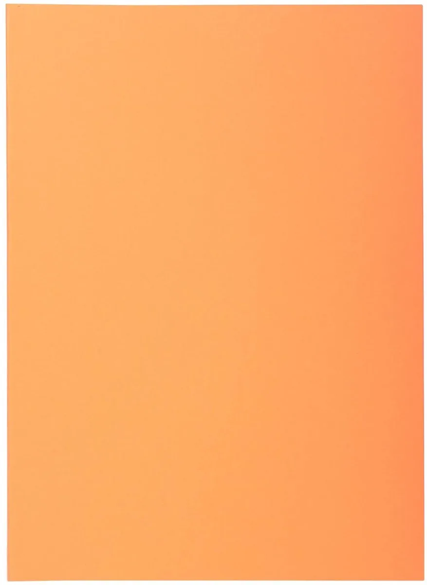 Exacompta 10x SUPER 60 - Pak van 100 inlegmappen -22x31cm voor A4 - 850100E by Exacompta in Geassorteerd – product photo