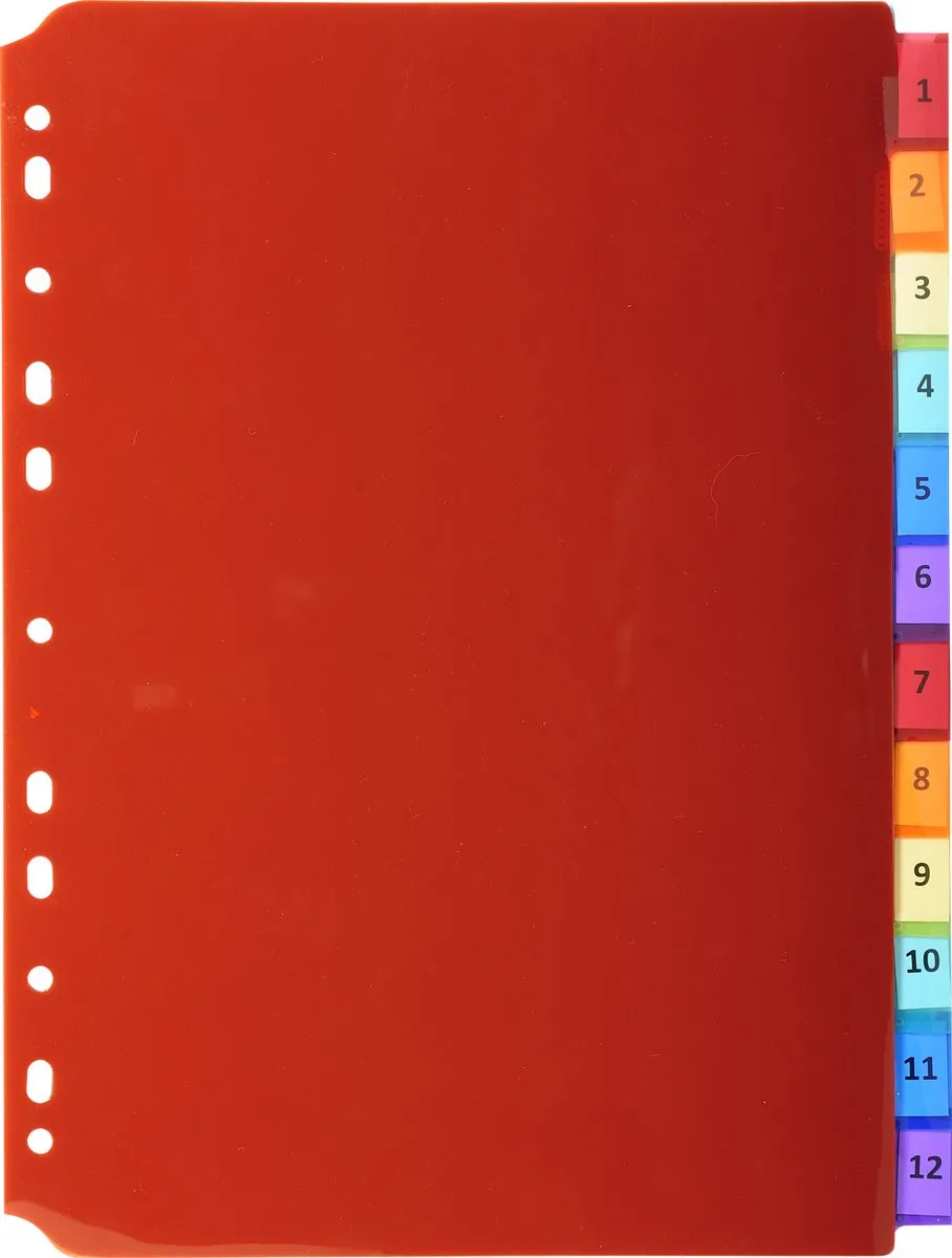 Exacompta 10x Tabbladen in Doorzichtige PP met neutrale tabs in etikettenhouder - 12 tabs - A4 - 3912E by Exacompta in Geassorteerd – product photo