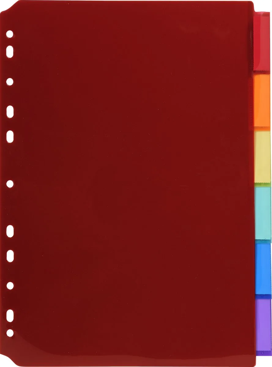 Exacompta 10x Tabbladen in Doorzichtige PP met neutrale tabs in etikethouder - 6 tabs - A4 - 3906E by Exacompta in Geassorteerd – product photo