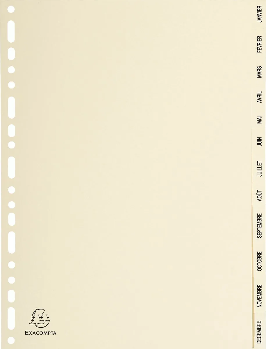 Exacompta 10x Tabbladen in karton 155g - 12 tabs - januari/december - A4 - 1212E van Exacompta in Ivoor – productfoto
