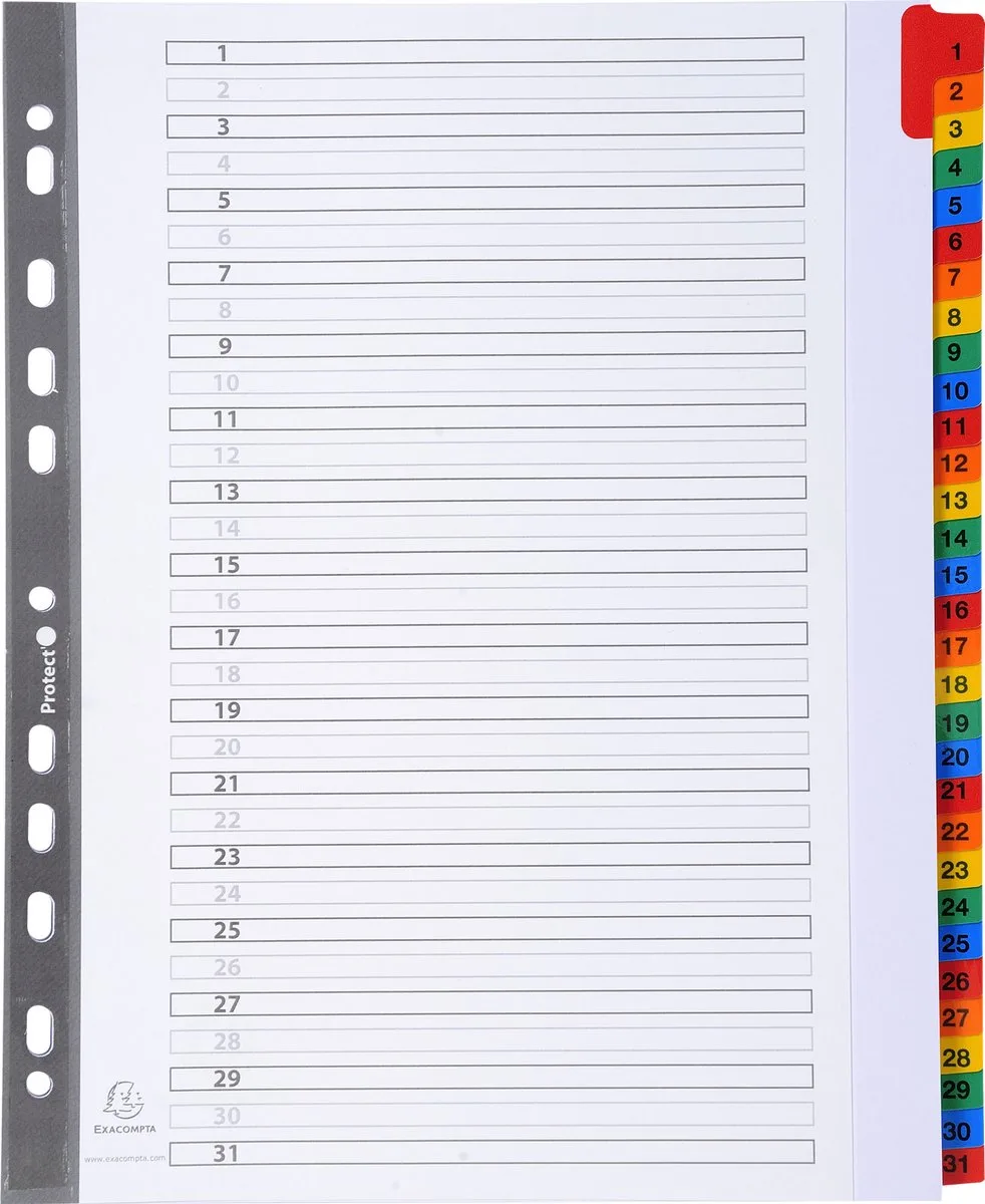 Exacompta 10x Tabbladen karton 160g - versterkte gekleurde tabs + inbdexblad - 31 tabs - A4 maxi - 4131E by Exacompta in White – product photo