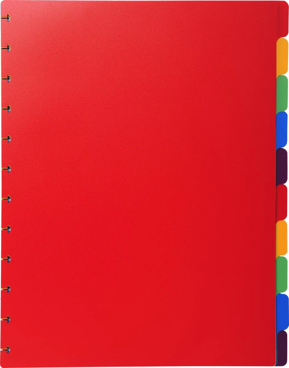 Exacompta 10x Tabbladen voor showalbum met ringen- gekleurde PP - 10 tabs - A4 - 86003E van Exacompta in Geassorteerd – productfoto
