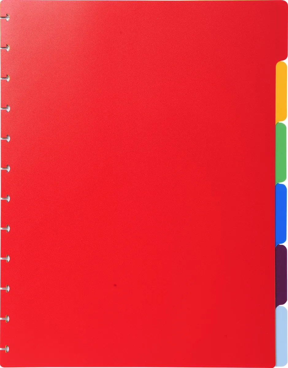 Exacompta 10x Tabbladen voor showalbum met ringen- gekleurde PP - 6 tabs - A4 - 86002E van Exacompta in Geassorteerd – productfoto