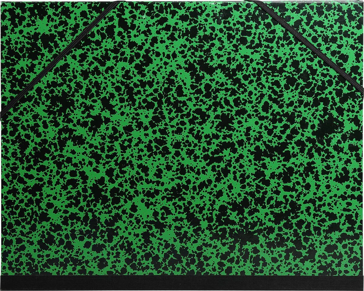 Exacompta 10x Tekenmap Annonay met elastieken 37x52cm - B3 - 1/2 raisin - 542200E by Exacompta in Green – product photo