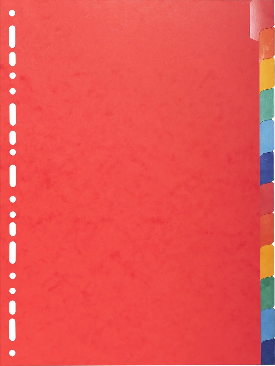 Exacompta 15x Tabbladen in glanskarton 225g met geplastificeerde gekleurde tabs - 12 tabs - A4 - 2212E de Exacompta en Geassorteerd – photo produit