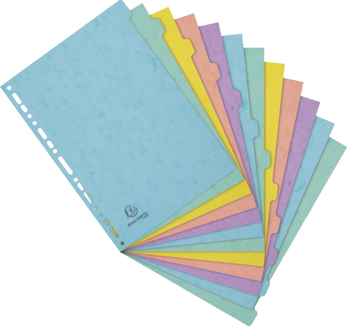 Exacompta 15x Tabbladen in glanskarton 400g/m2 Aquarel 12 verdelingen - A4 - 7712E de Exacompta en Geassorteerd – photo produit