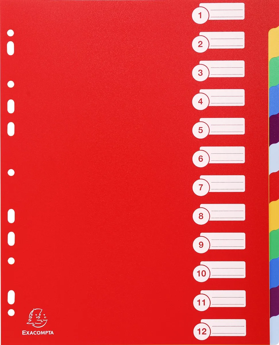 Exacompta 15x Tabbladen in stevige Ondoorzichtige PP - 12 tabs - A4 maxi - 4812E de Exacompta en Geassorteerd – photo produit
