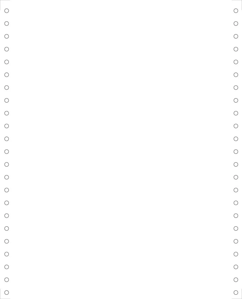 Exacompta 2000 listingbladen 240x11 4/6 microperforaties 4 zijden afscheurbarr Caroll banden Papier 80g - 62331E de Exacompta en Blanc – photo produit