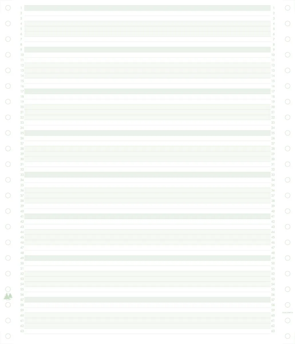 Exacompta 2000 listingbladen in zones verdeeld 240x11 niet afscheurbare Caroll banden papier 60g - 62211E fra Exacompta i Grøn – produktbillede