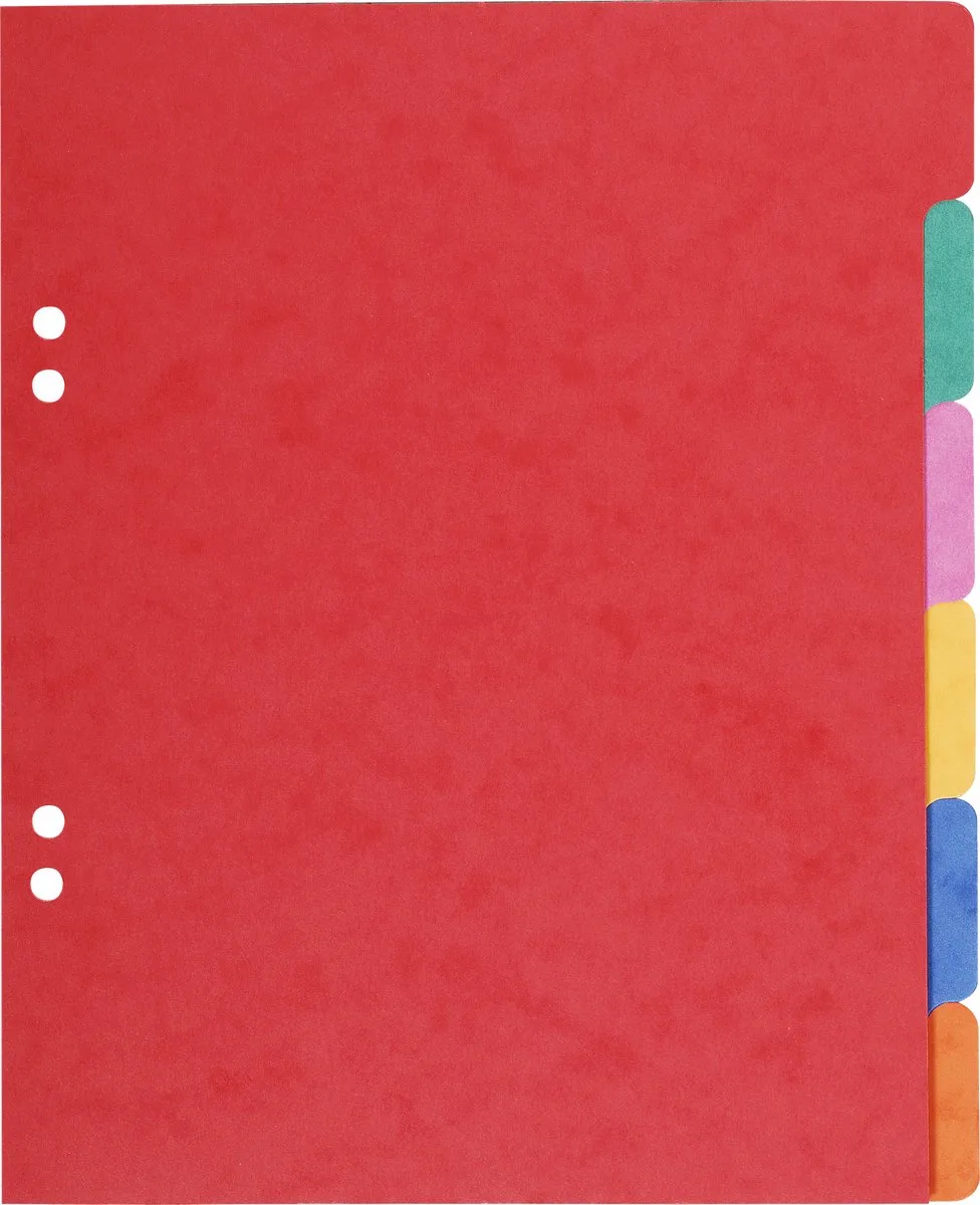 Exacompta 20x Tabbladen in glanskarton 225g - 6 tabs - schoolformaat 17x22cm - 406E by Exacompta in Geassorteerd – product photo
