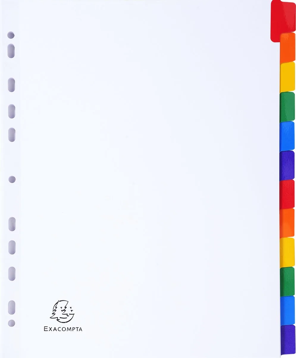 Exacompta 20x Tabbladen karton 160g - geplastificeerde gekleurde tabs + index - 12 tabs - A4 maxi - 4312E by Exacompta in White – product photo