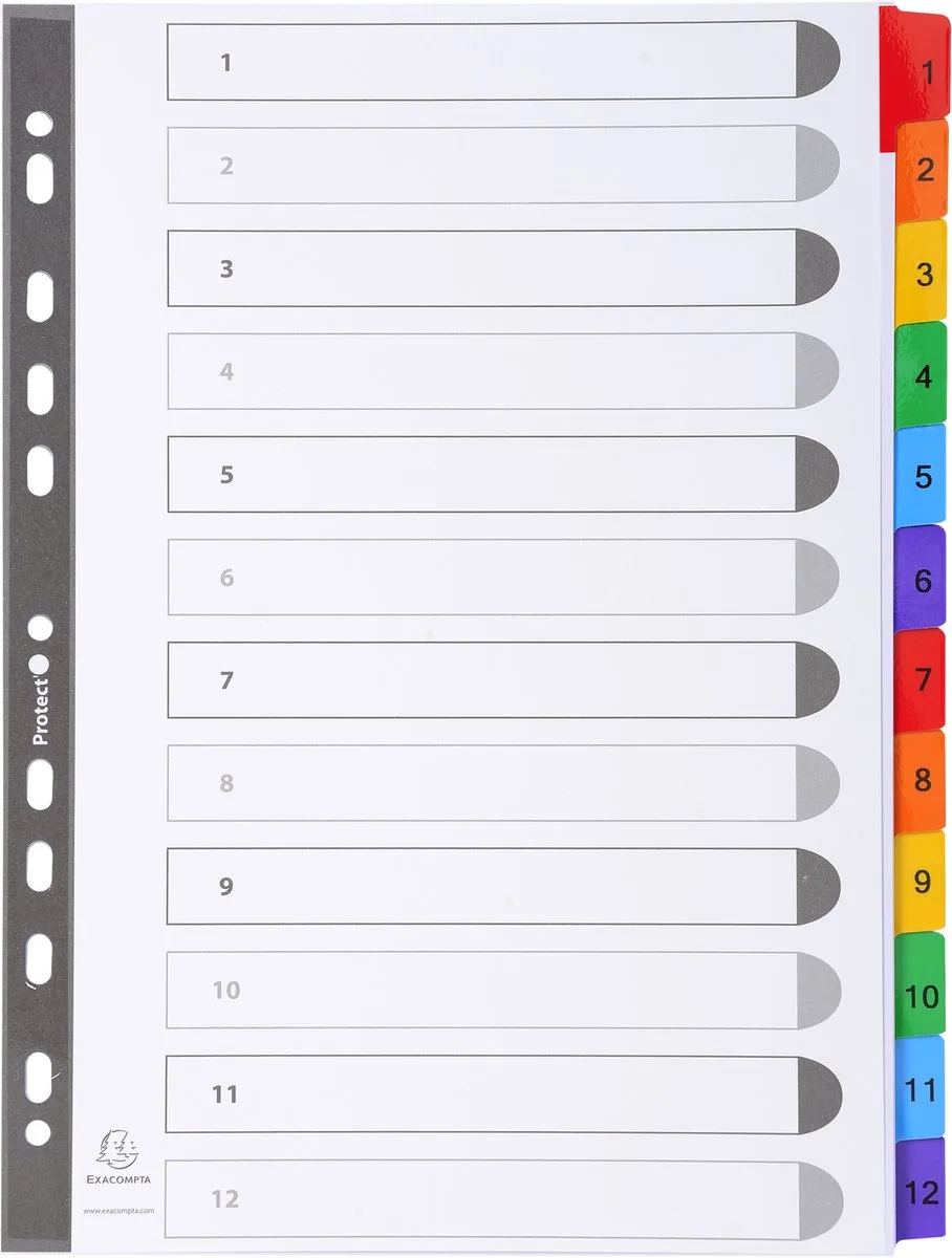 Exacompta 20x Tabbladen karton 160g - versterkte gekleurde tabs + inbdexblad - 12 tabs - A4 - 1112E van Exacompta in Wit – productfoto