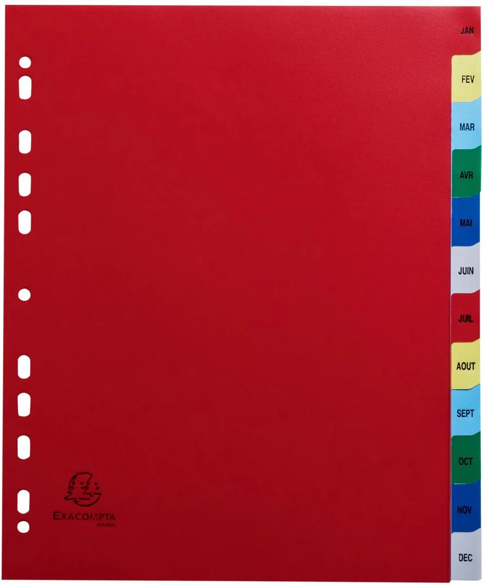 Exacompta 20x Tabbladen met bedrukte tabs in gekleurde PP - 12 tabs - januari/december - A4 maxi - 92E de Exacompta en Geassorteerde felle kleuren – photo produit