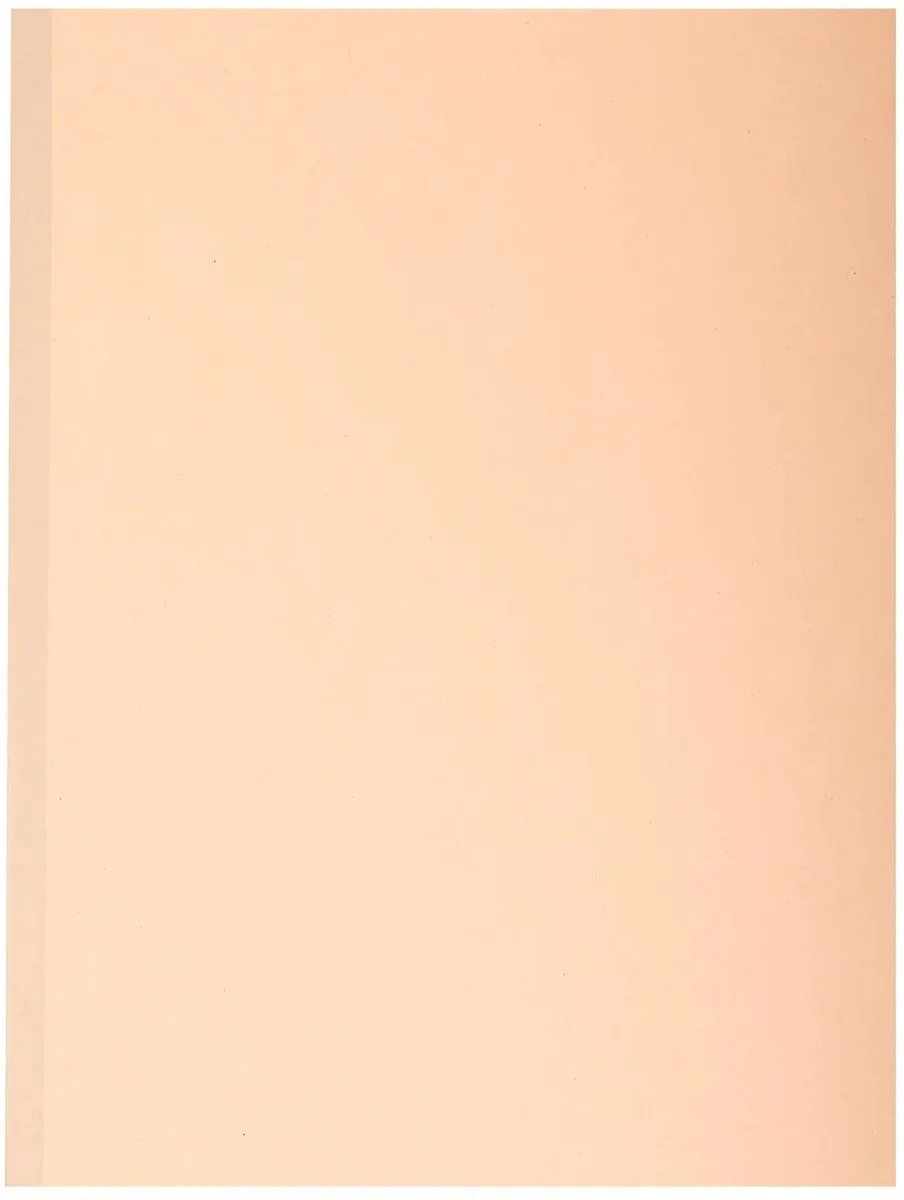 Exacompta 25x FOREVER® 320 g/m2 - Pak van 10 dossiermappen met linnen rug - A4 - 771000E van Exacompta in Geassorteerd – productfoto