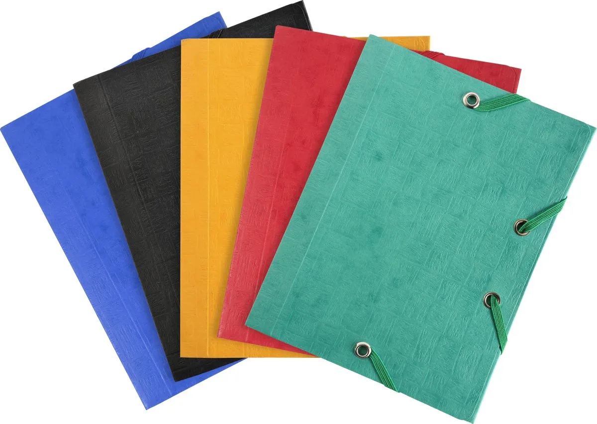 Exacompta 25x Scotten Pocket elastomap 3 kleppen 425g/m2 - 12x16cm - 50750E de Exacompta en Geassorteerd – photo produit
