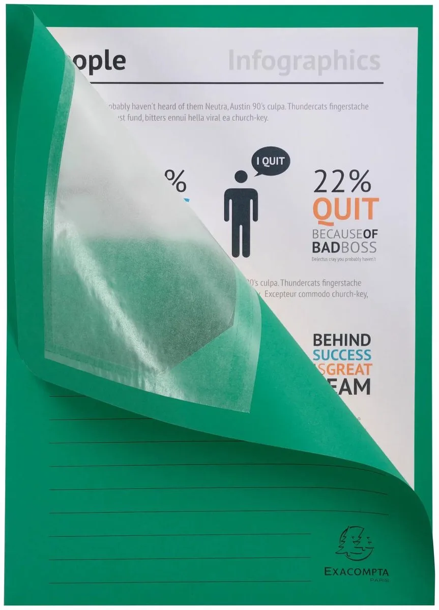 Exacompta 4x FOREVER® Pak van 100 venstermappen 120g/m2 - 22x31cm voor A4 - 50103E van Exacompta in Fel groen – productfoto
