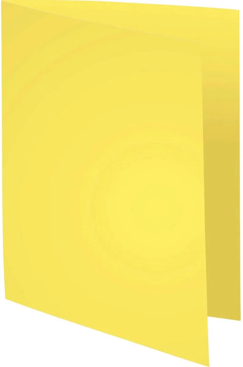 Exacompta 5x FOREVER 170 - Pak van 100 dossiermappen 170g/m2- 24x32cm voor A4. - 420005E by Exacompta in Yellow – product photo