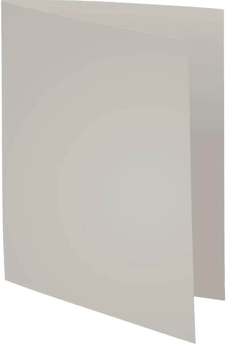 Exacompta 5x FOREVER 170 - Pak van 100 dossiermappen 170g/m2- 24x32cm voor A4. - 420009E by Exacompta in Grey – product photo