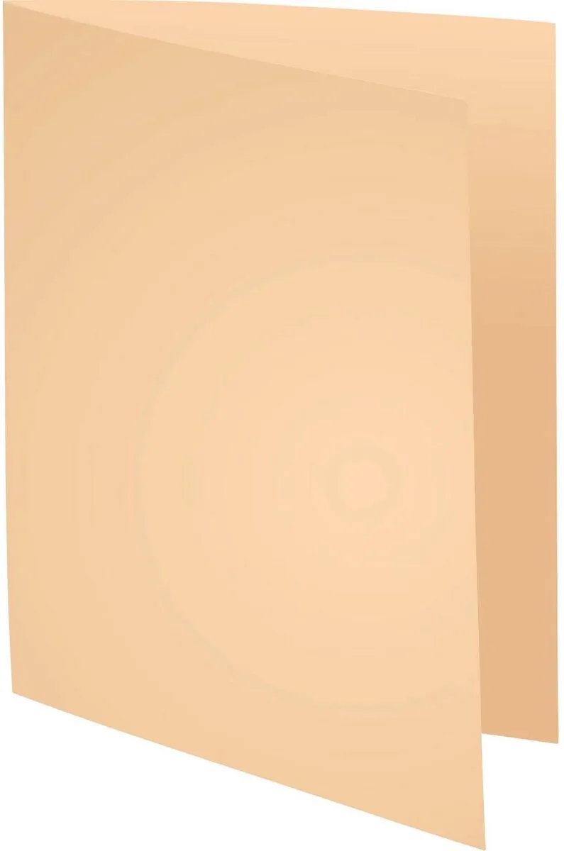 Exacompta 5x FOREVER 170 - Pak van 100 dossiermappen 170g/m2- 24x32cm voor A4. - 420002E by Exacompta in Gems – product photo