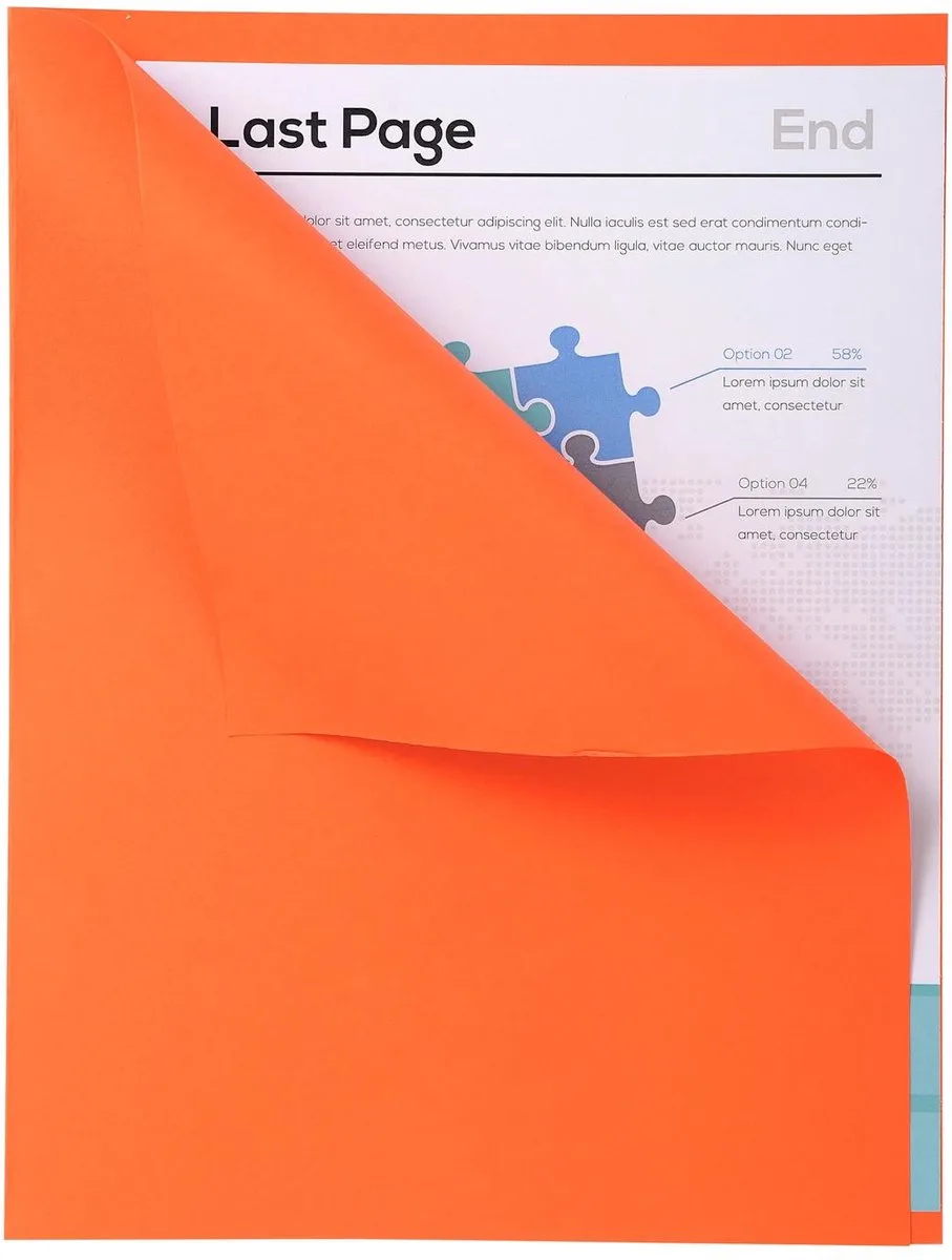 Exacompta 5x FOREVER170 Pak van 100 dossiermappen 170g/m2 met overslag van 1 cm - 24x32cm voor A4. - 421007E by Exacompta in Orange – product photo