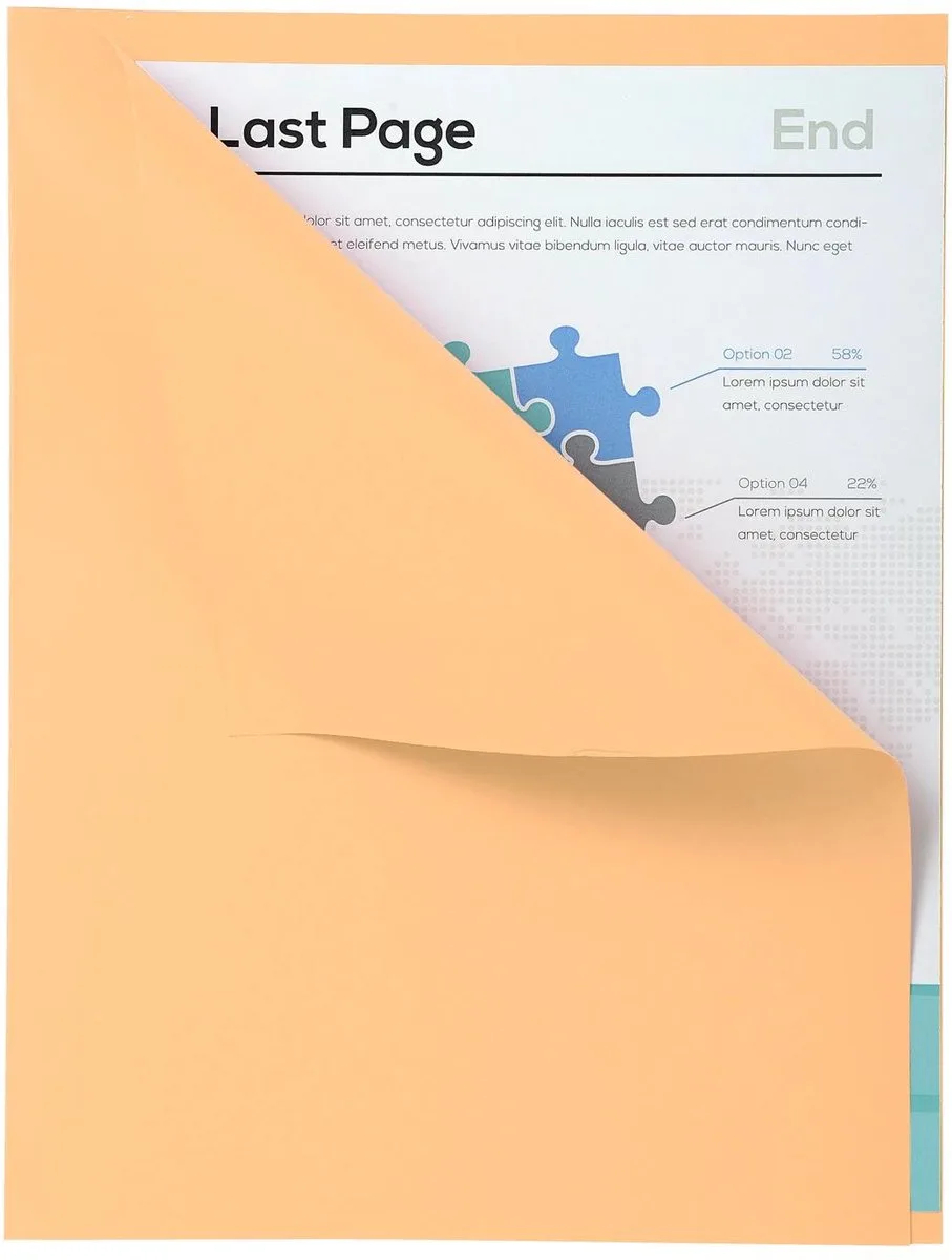 Exacompta 5x FOREVER170 Pak van 100 dossiermappen 170g/m2 met overslag van 1 cm - 24x32cm voor A4. - 421002E by Exacompta in Gems – product photo