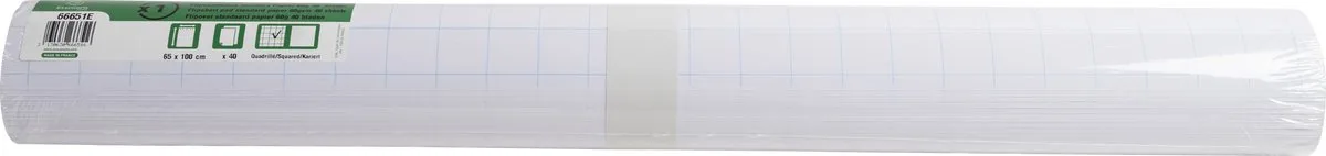 Exacompta 5x Navulling papier voor conferentiebord - 40 vellen met microperforaties STANDAARD - Bedrukking recto geruit / verso effen - geleverd in rollen. - 66651E von Exacompta in Weiß – Produktfoto