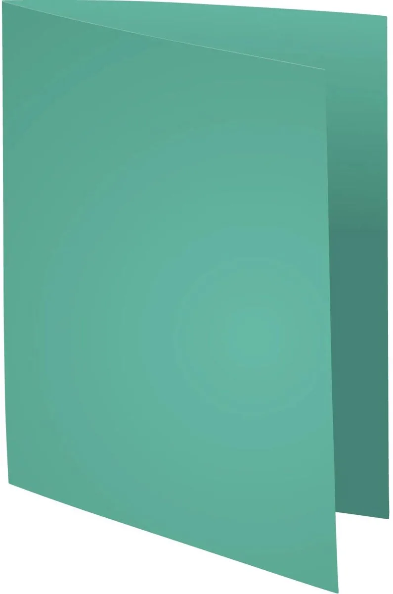 Exacompta 5x SUPER 160 - Pak van 100 dossiermappen 160g/m2- 24x32 cm voor A4. - 340004E de Exacompta en Vert clair – photo produit