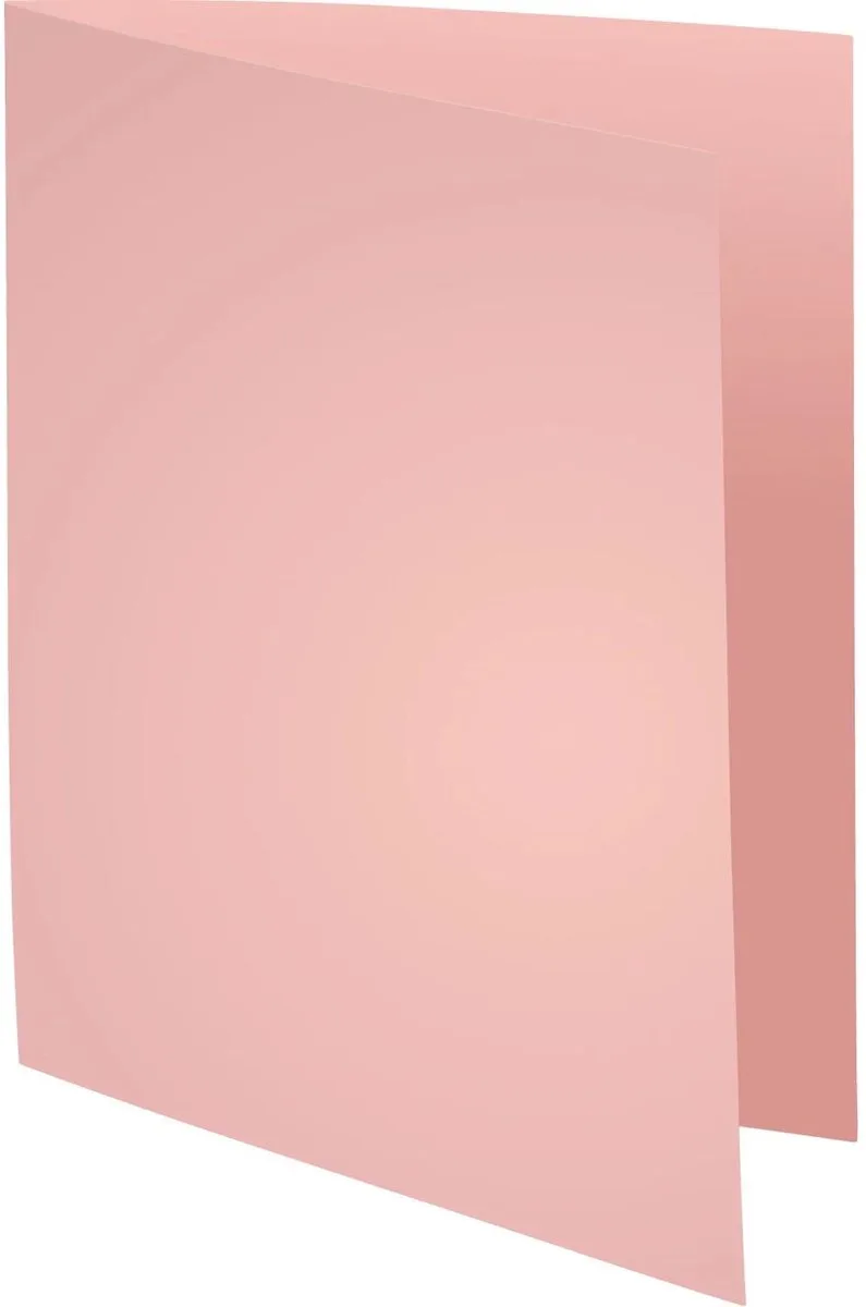Exacompta 5x SUPER 160 - Pak van 100 dossiermappen 160g/m2- 24x32 cm voor A4. - 340003E van Exacompta in Roze – productfoto