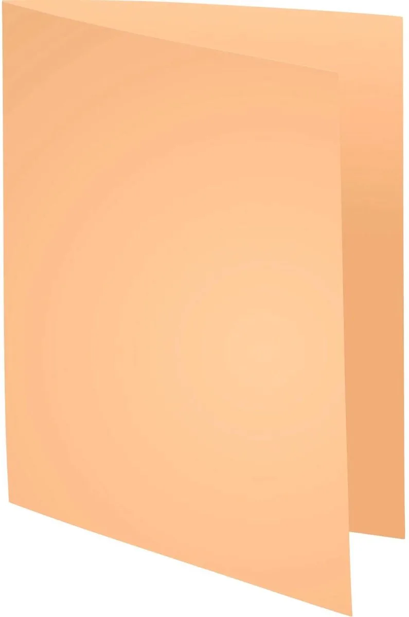 Exacompta 5x SUPER 160 - Pak van 100 dossiermappen 160g/m2- 24x32 cm voor A4. - 340002E van Exacompta in Gems – productfoto