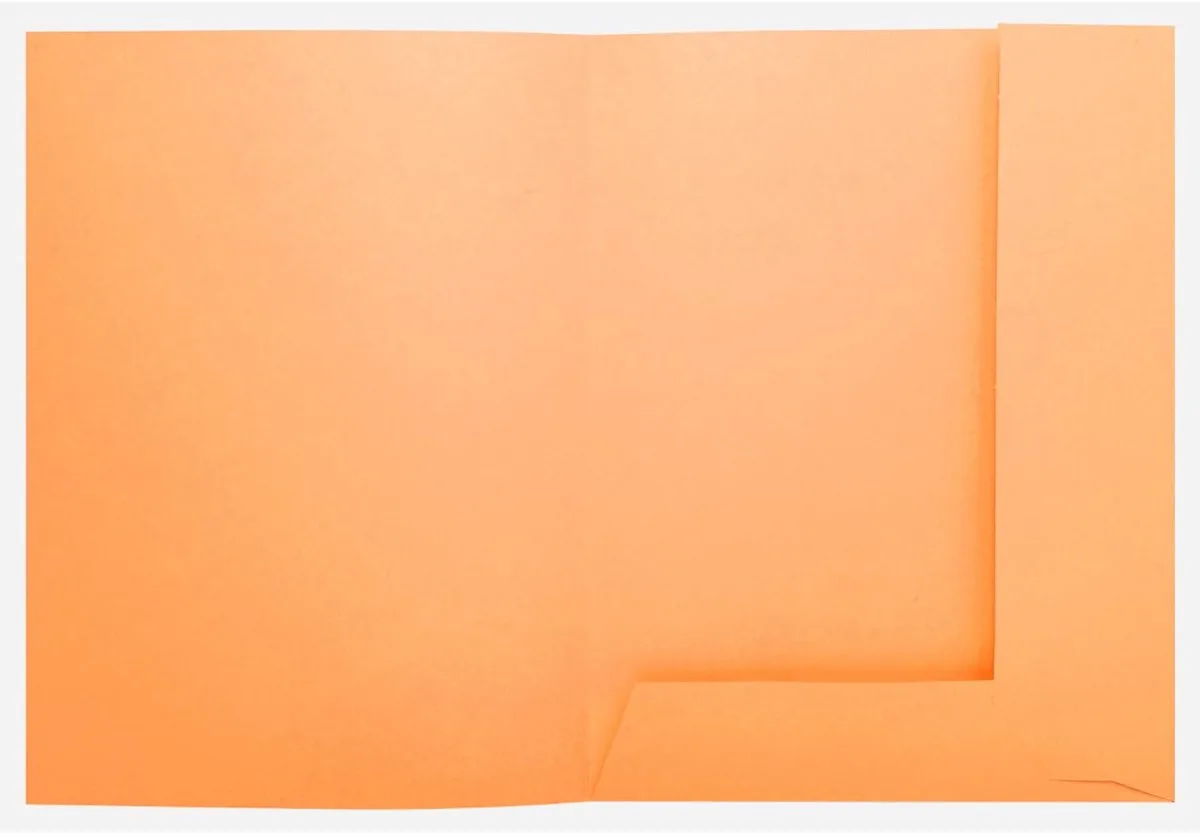 Exacompta 5x SUPER 210 - pak van 50 dossiermappen + 2 kleppen - 24x32cm - 332007E by Exacompta in Orange – product photo