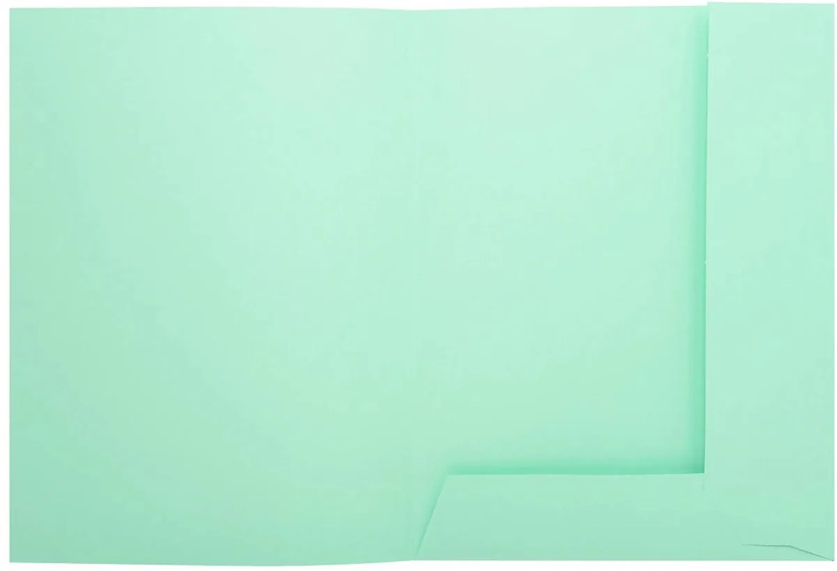 Exacompta 5x SUPER 210 - pak van 50 dossiermappen + 2 kleppen - 24x32cm - 332004E by Exacompta in Light green – product photo