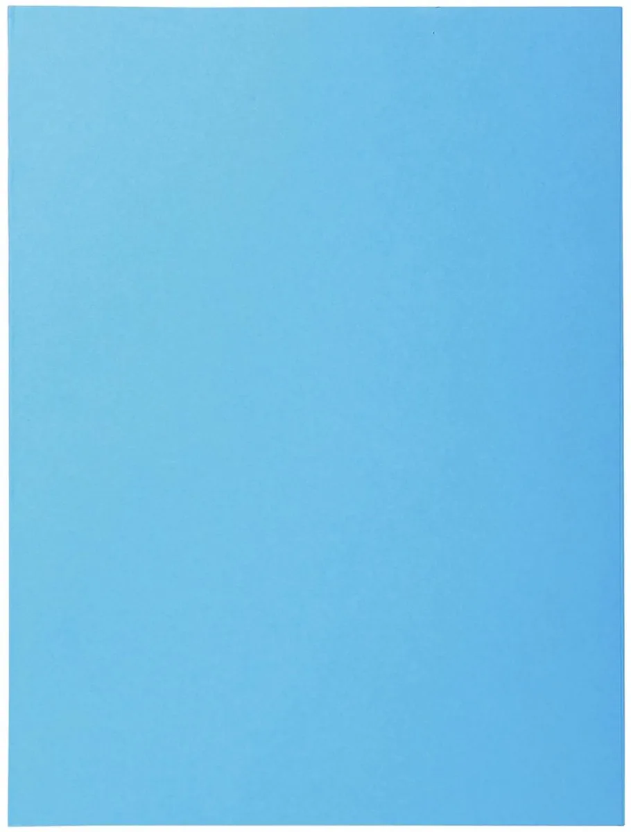 Exacompta 5x SUPER 210 - pak van 50 dossiermappen + 2 kleppen - 24x32cm - 332000E van Exacompta in Geassorteerd – productfoto