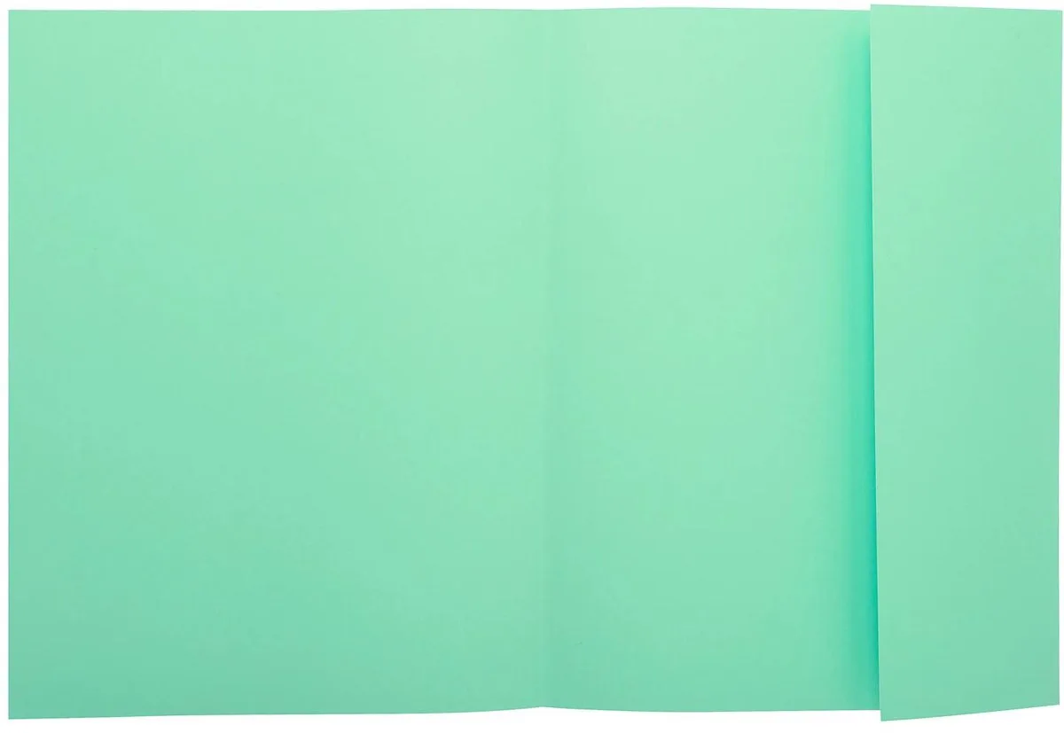 Exacompta 5x SUPER 210 - Pak van 50 dossiermappen met 1 klep - 24x32cm - 339004E van Exacompta in Lichtgroen – productfoto