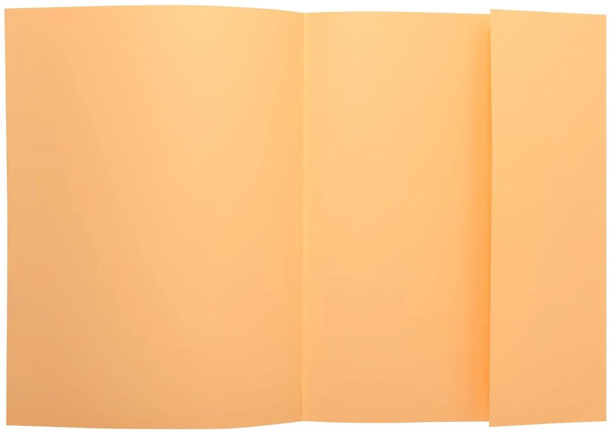 Exacompta 5x SUPER 210 - Pak van 50 dossiermappen met 1 klep - 24x32cm - 339002E fra Exacompta i Gems – produktbillede