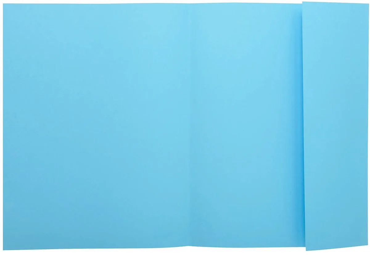 Exacompta 5x SUPER 210 - Pak van 50 dossiermappen met 1 klep - 24x32cm - 339006E de Exacompta en Bleu clair – photo produit