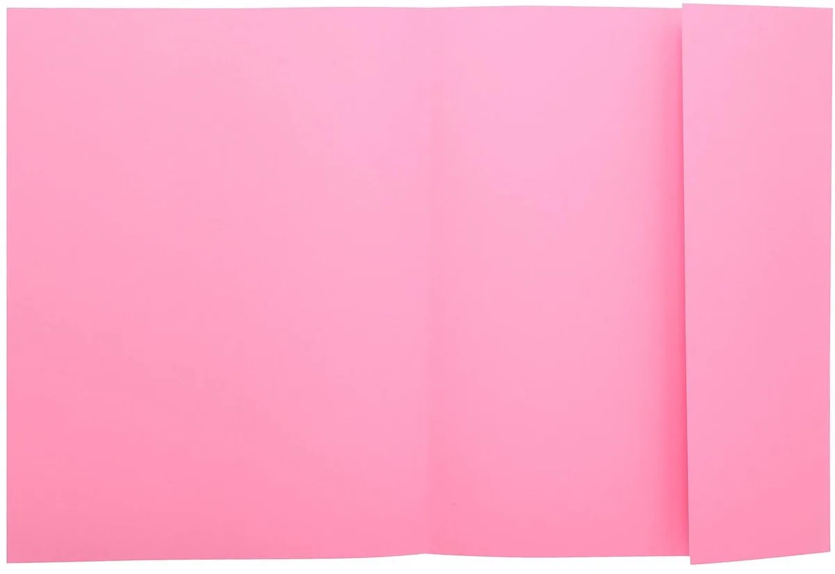 Exacompta 5x SUPER 210 - Pak van 50 dossiermappen met 1 klep - 24x32cm - 339003E fra Exacompta i Lyserød – produktbillede