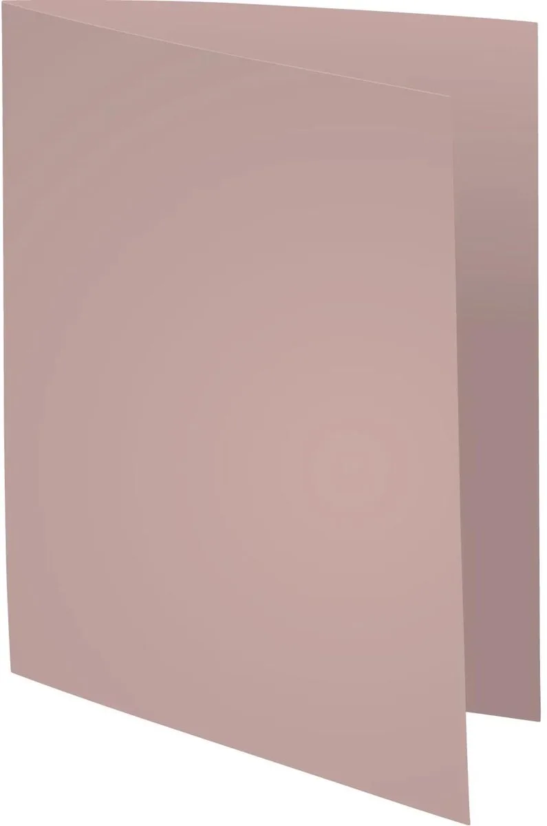 Exacompta 5x SUPER 60 - Pak van 250 inlegmappen - 22x31cm voor A4 - 850009E van Exacompta in Grijs – productfoto