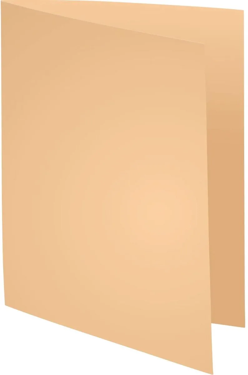Exacompta 5x SUPER 60 - Pak van 250 inlegmappen - 22x31cm voor A4 - 850002E fra Exacompta i Gems – produktbillede