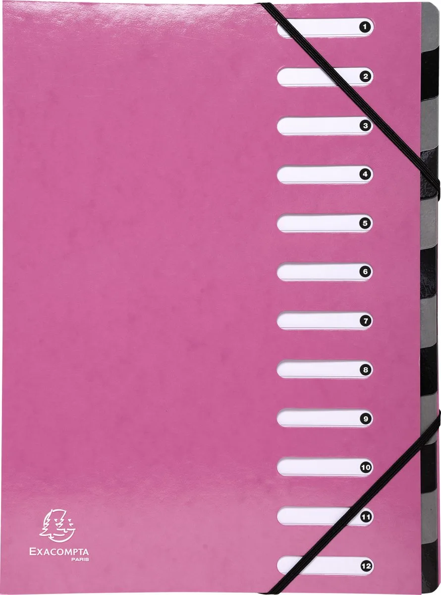 Exacompta 6x IDERAMA® Harmonika Sorteermap - 12 indelingen - 53928E fra Exacompta i Lyserød – produktbillede
