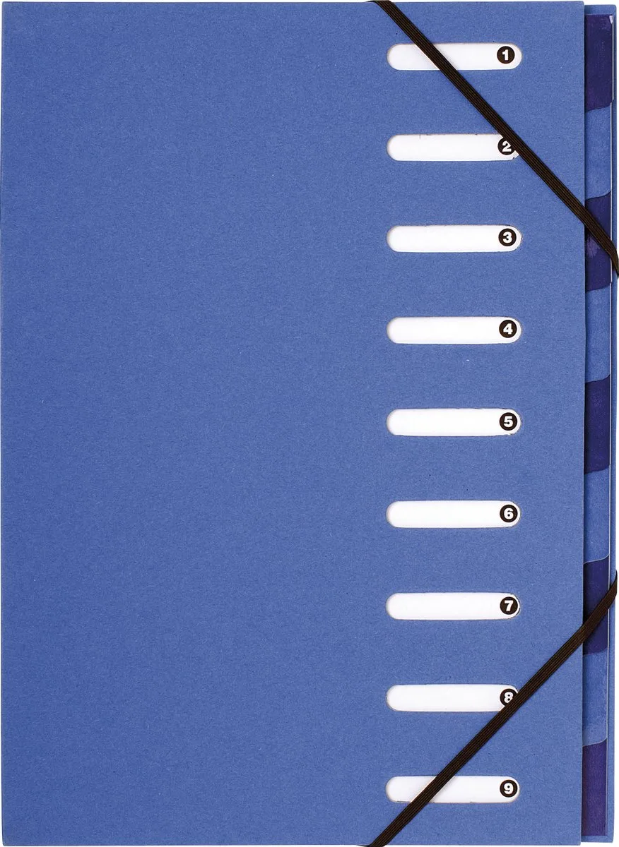 Exacompta 6x Sorteermap HARMONIKA® FOREVER® 270g/m2 - 9 indelingen - uitgesneden vensters - 52982E van Exacompta in Lichtblauw – productfoto