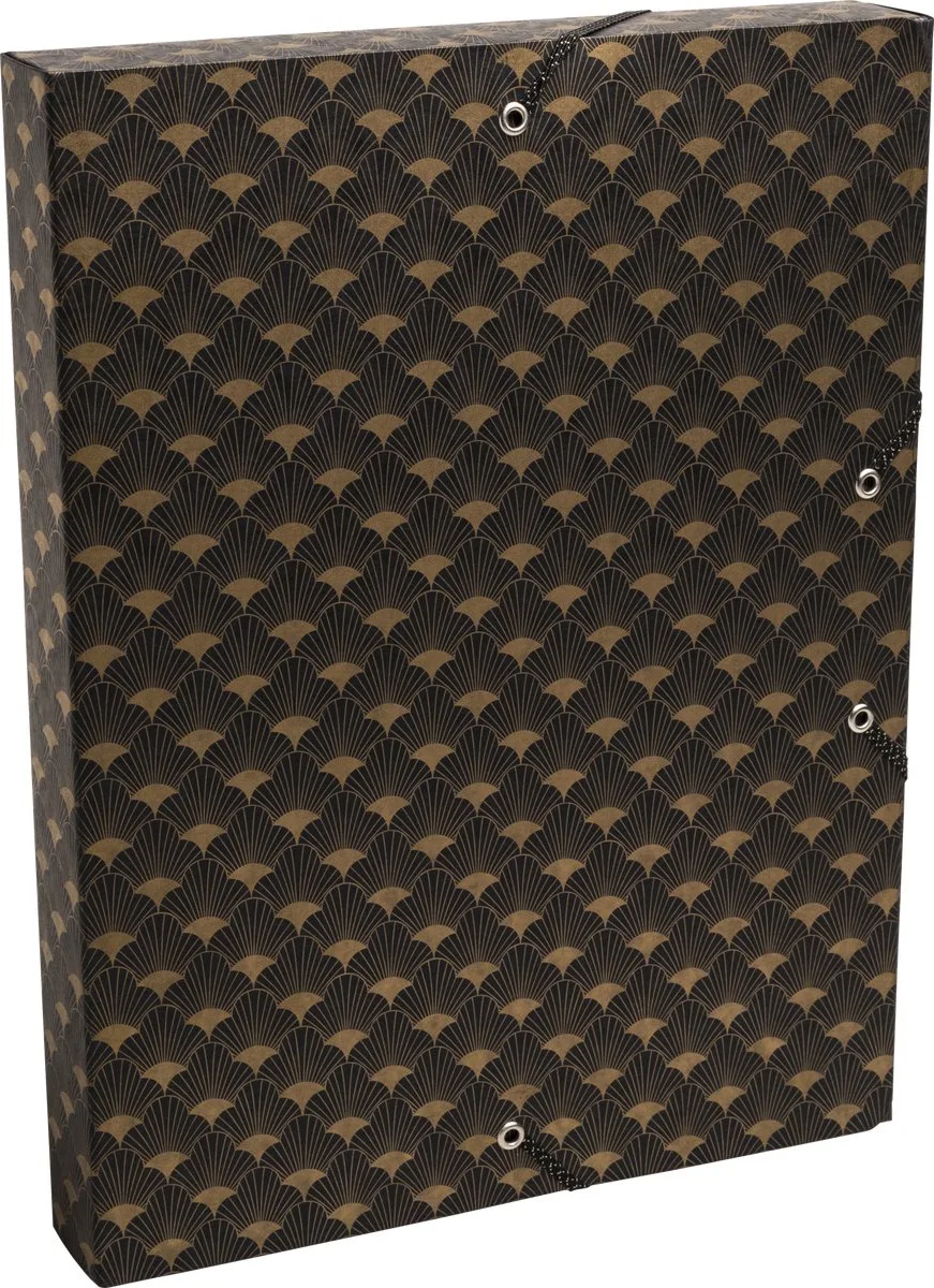 Exacompta 8x Klasseerdoos met rug 25mm in glanskarton 600g/m2 Neo Deco - 59350E by Exacompta in Geassorteerd – product photo