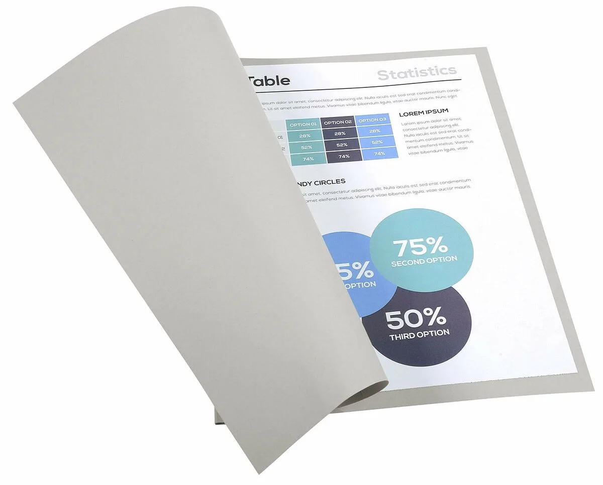 FOREVER 220-Pak van 100 dossiermappen 220g/m2 24x32cm voor A4. - 410009E fra Exacompta i Grå – produktbillede