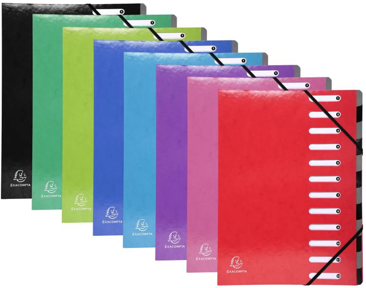 IDERAMA® Harmonika Sorteermap - 12 indelingen - 53928E von Exacompta in Rosa – Produktfoto