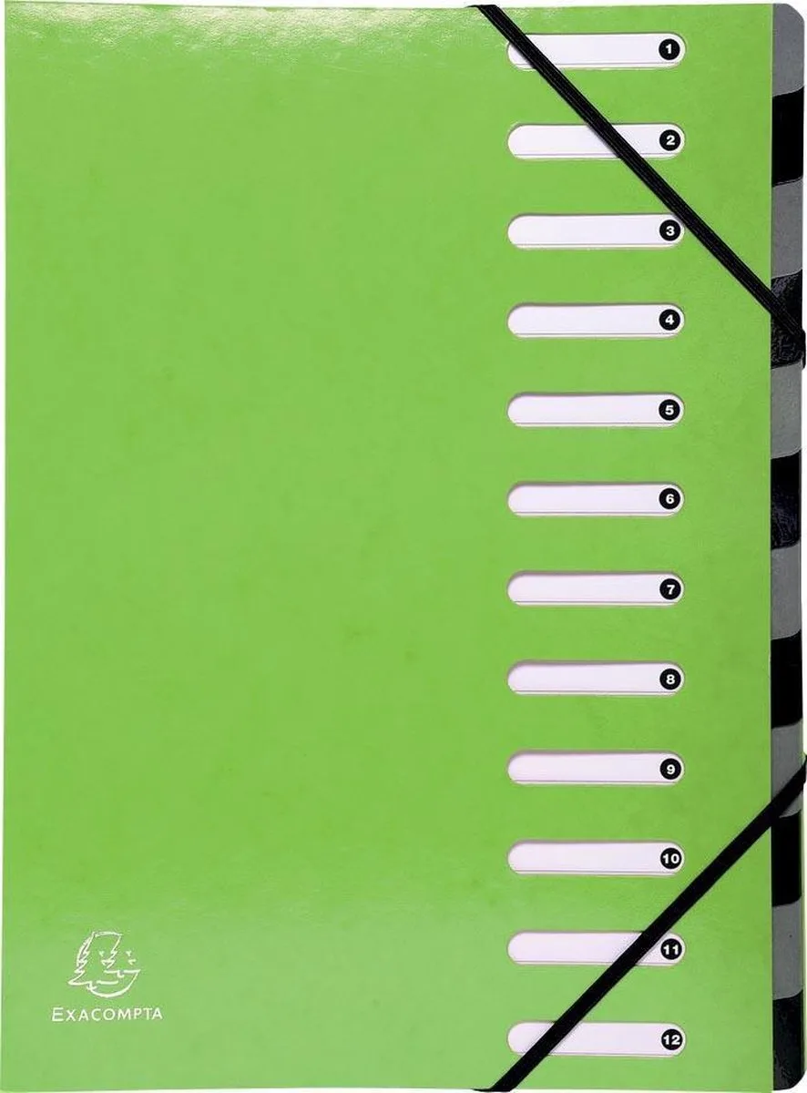 IDERAMA® Harmonika Sorteermap - 12 indelingen - Anijsgroen - 53923E von Exacompta in Grün – Produktfoto