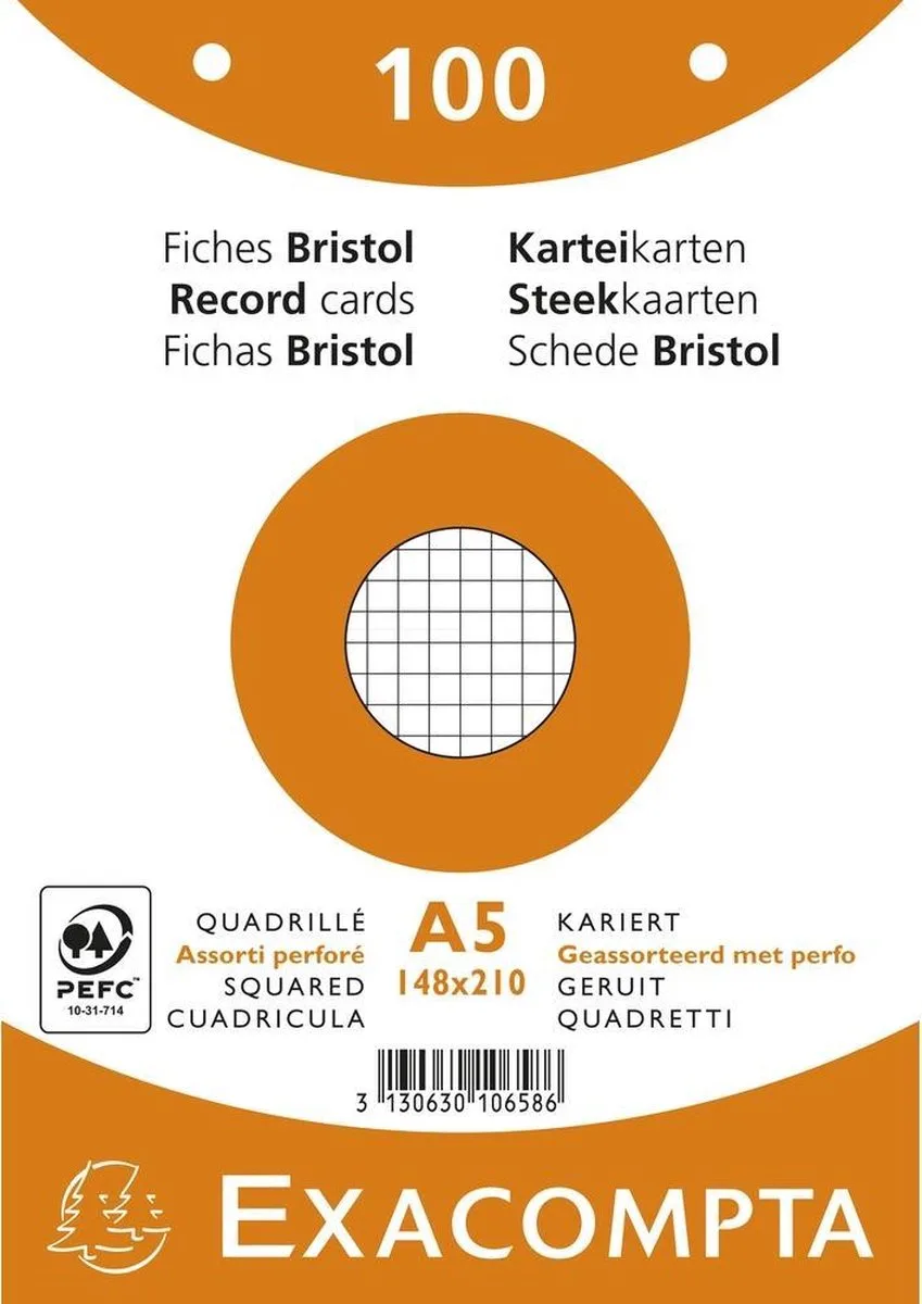 Pak 100 steekkaarten in folie - bristol geruit 5x5 geperforeerd - 148x210mm - 10658E van Exacompta in Geassorteerd – productfoto