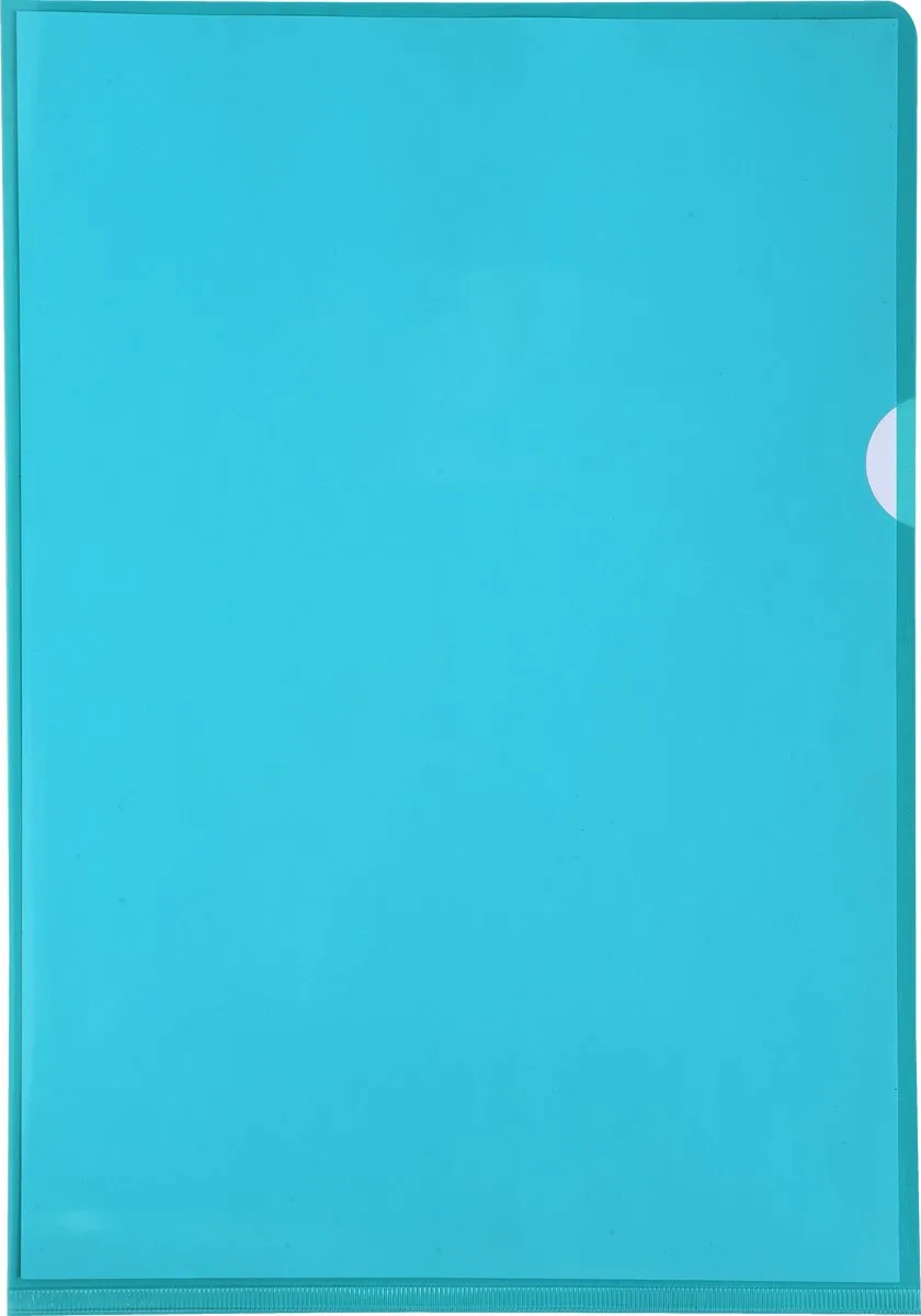 Pak van 100 L mappen - gladde PVC 13/100e - A4 - 661295E fra Exacompta i Grøn – produktbillede